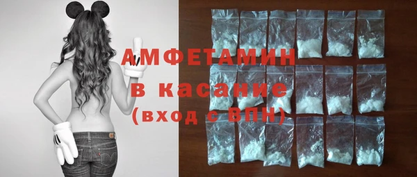 соль ск Новодвинск