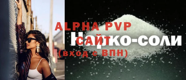 соль ск Новодвинск
