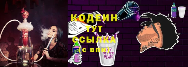 шишки Бикин
