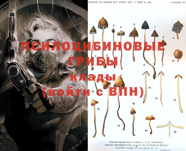 mdma Новозыбков