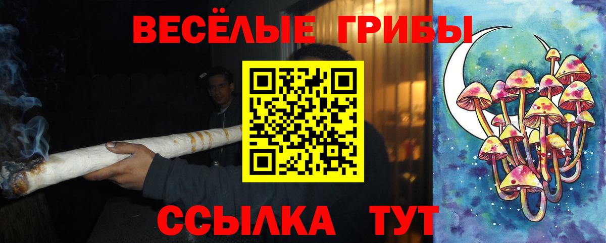 Галлюциногенные грибы MAGIC MUSHROOMS Азнакаево