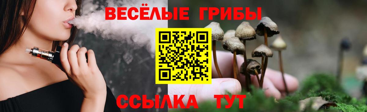 Галлюциногенные грибы Cubensis  Галлюциногенные грибы ЛСД  Азнакаево  Вход с VPN 